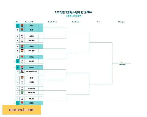 星空体育娱乐平台全新升级引领全民健身运动潮流
