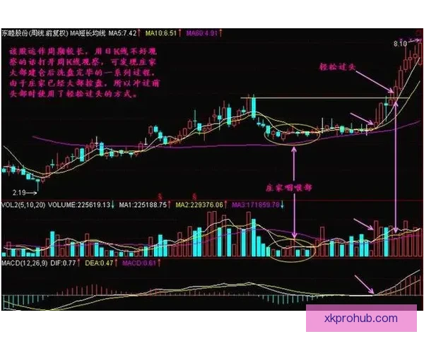 世界杯足球竞猜赔率分析与投注策略深度解析助你轻松盈利